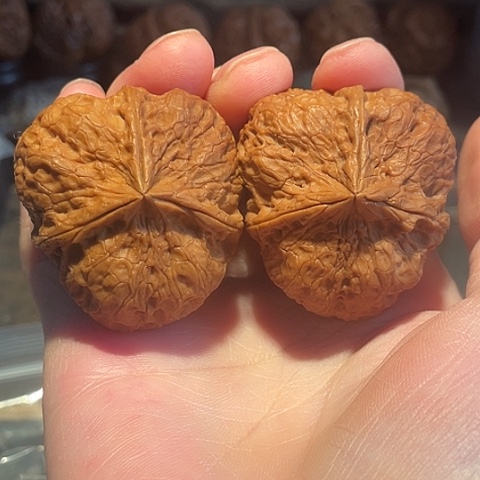 文玩核桃把件锤子带彩42