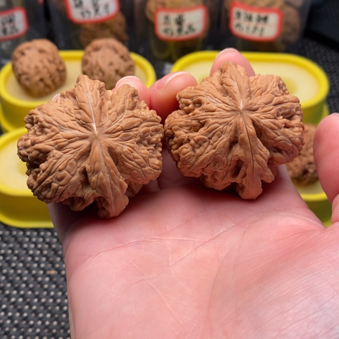 橄榄核手串/手链人***烟大粗筋