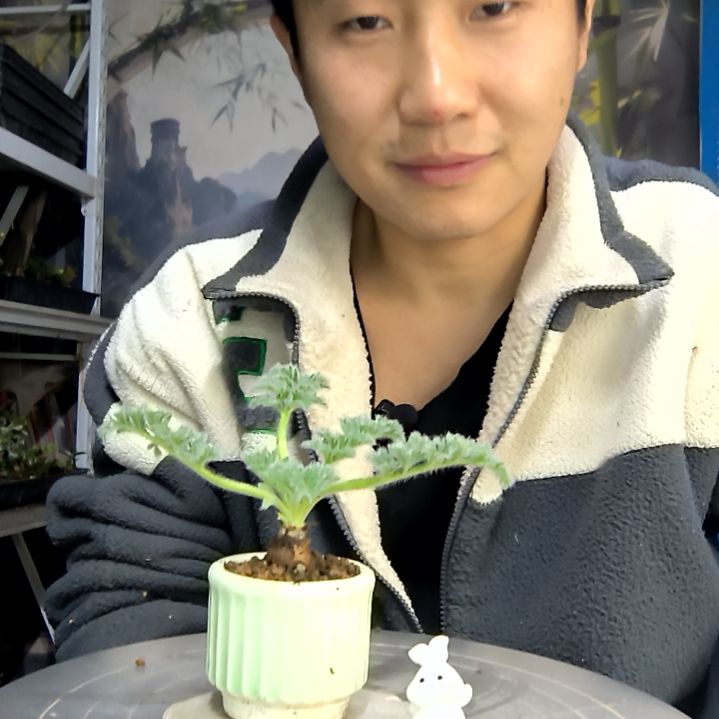 月***酌中青园艺一物一拍花419