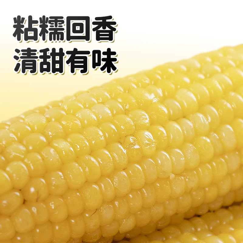 （北）香甜可口糯玉米