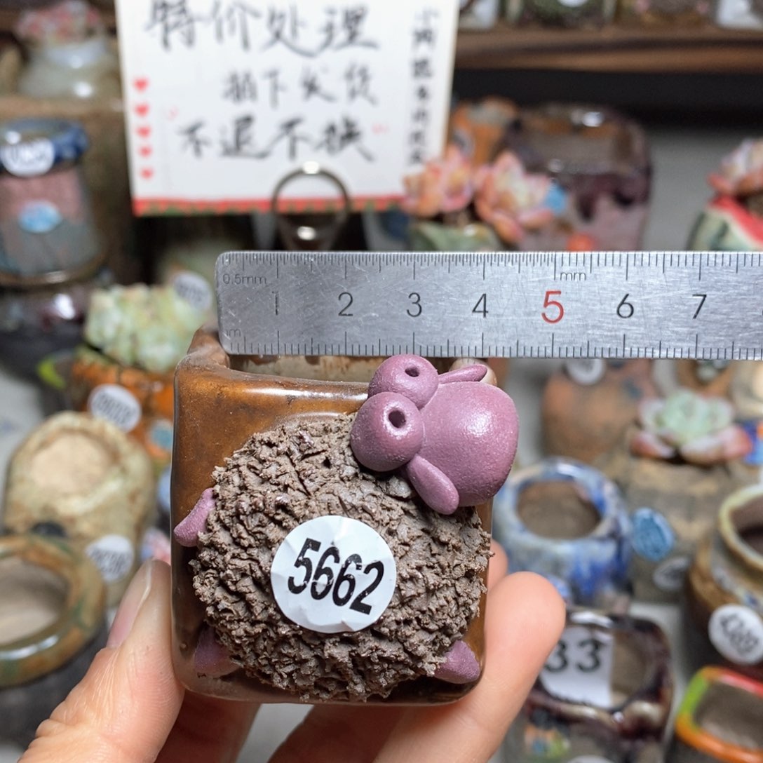 花盆特价处理的不退不换的，原价78元