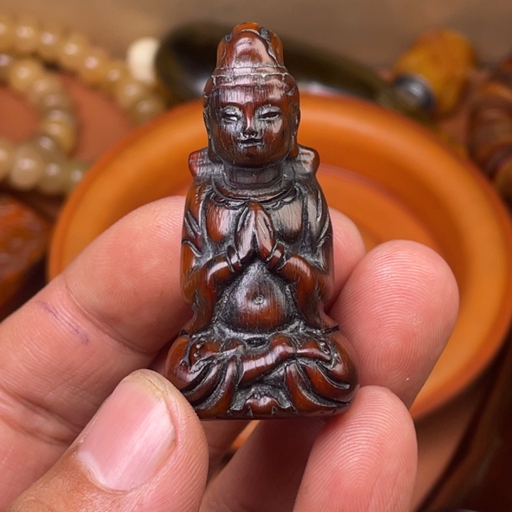驼骨其他人工养殖