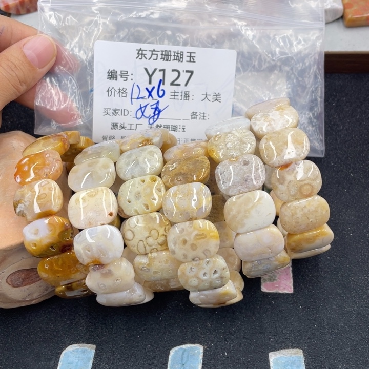 婕***硅化珊瑚（珊瑚玉）合金颈饰