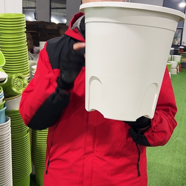 正品圆控口24高24白色5只带托