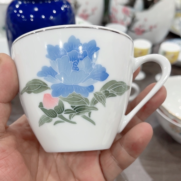 壶釉下五彩的瓷器和瓷器