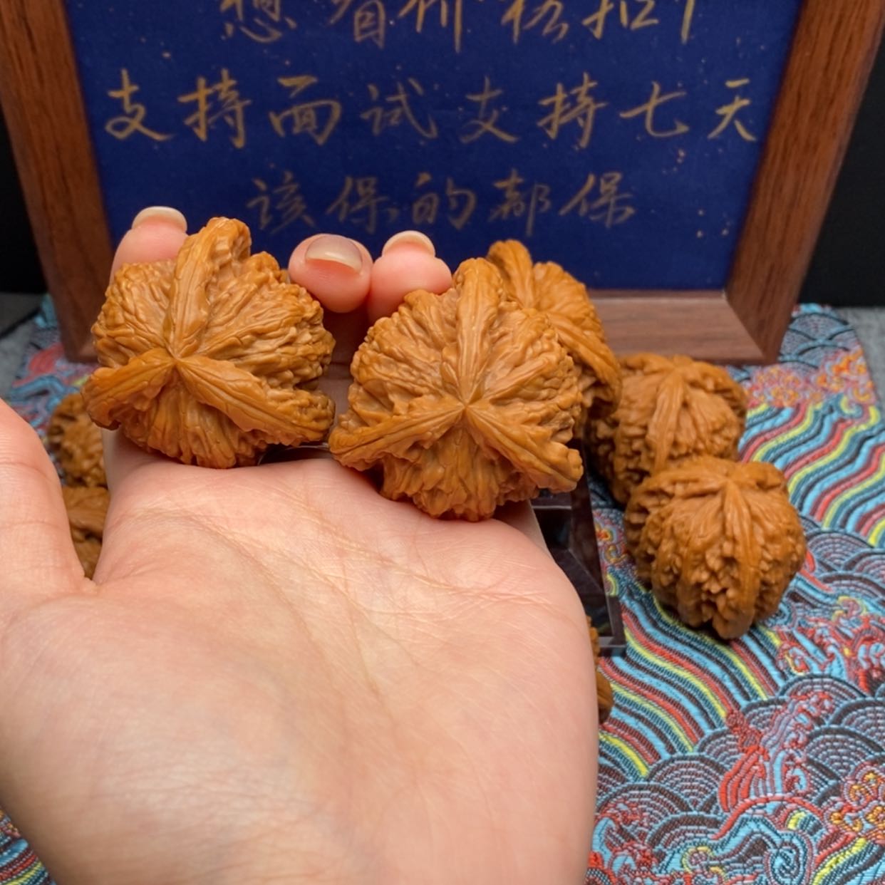 【闪购商品】李*头白狮