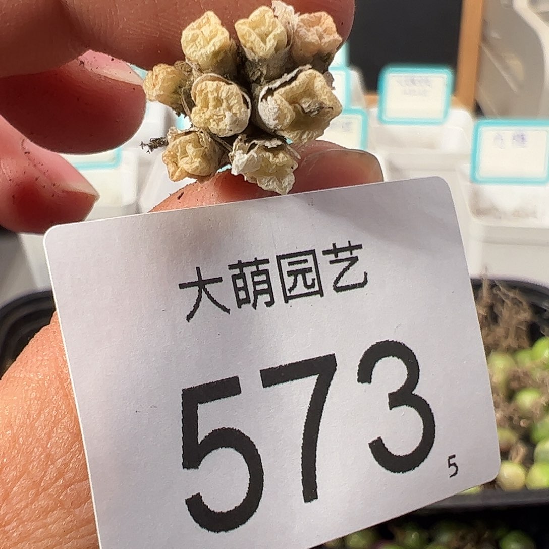 0000573 一物一拍……