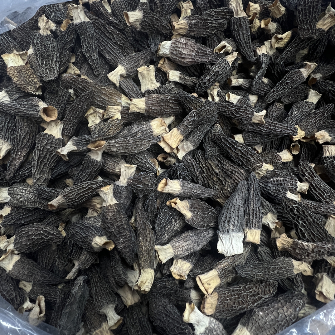 肉厚密纹羊肚菌1222