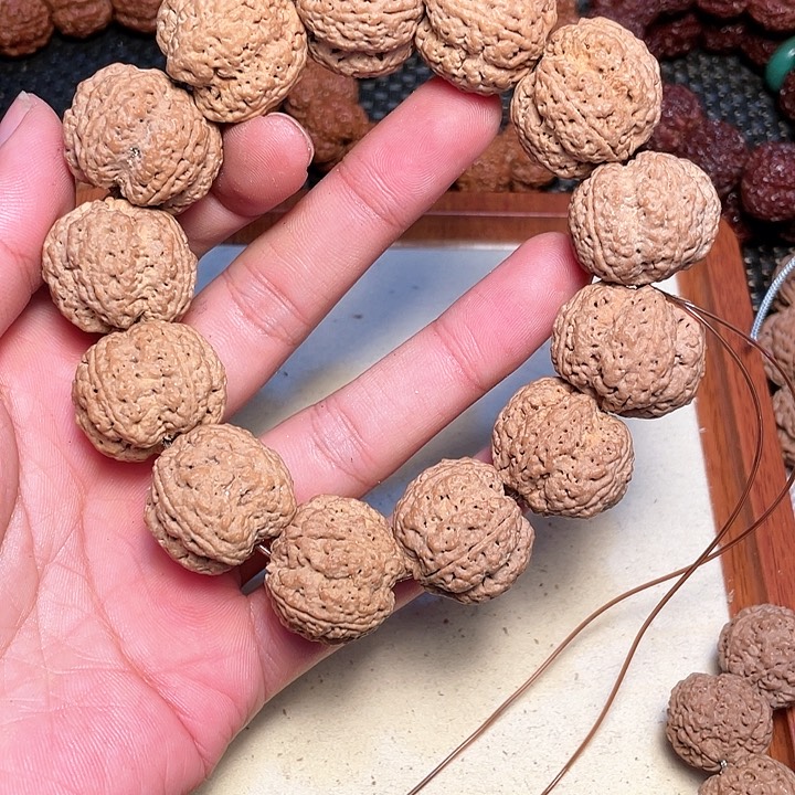 金刚菩提吊坠尼泊尔大金刚菩提