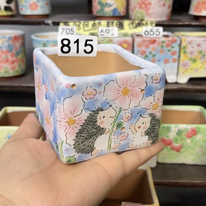 手工制作多肉花盆