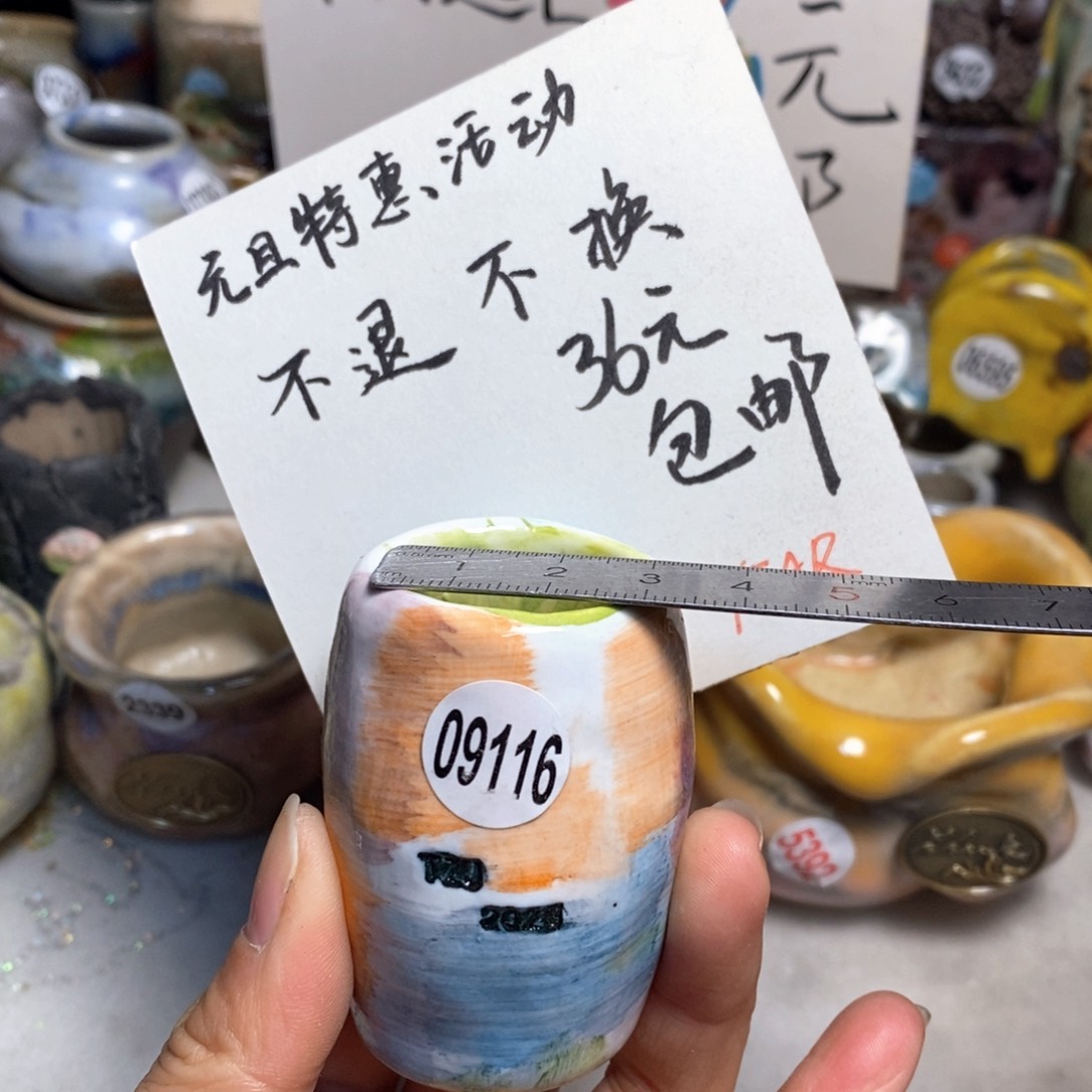 不退换的，原价28元花盆