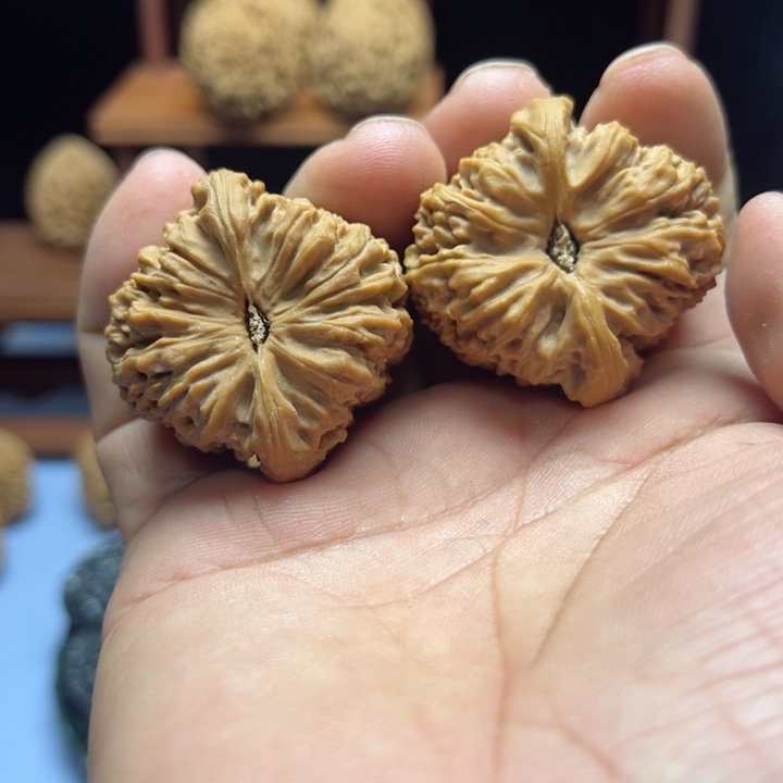 完全开放八***十南疆石