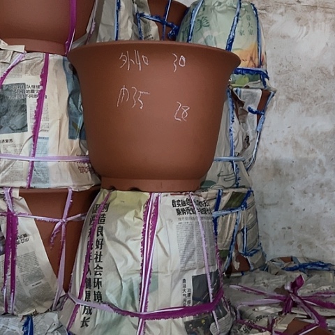 紫砂花盆盆大金钟一个