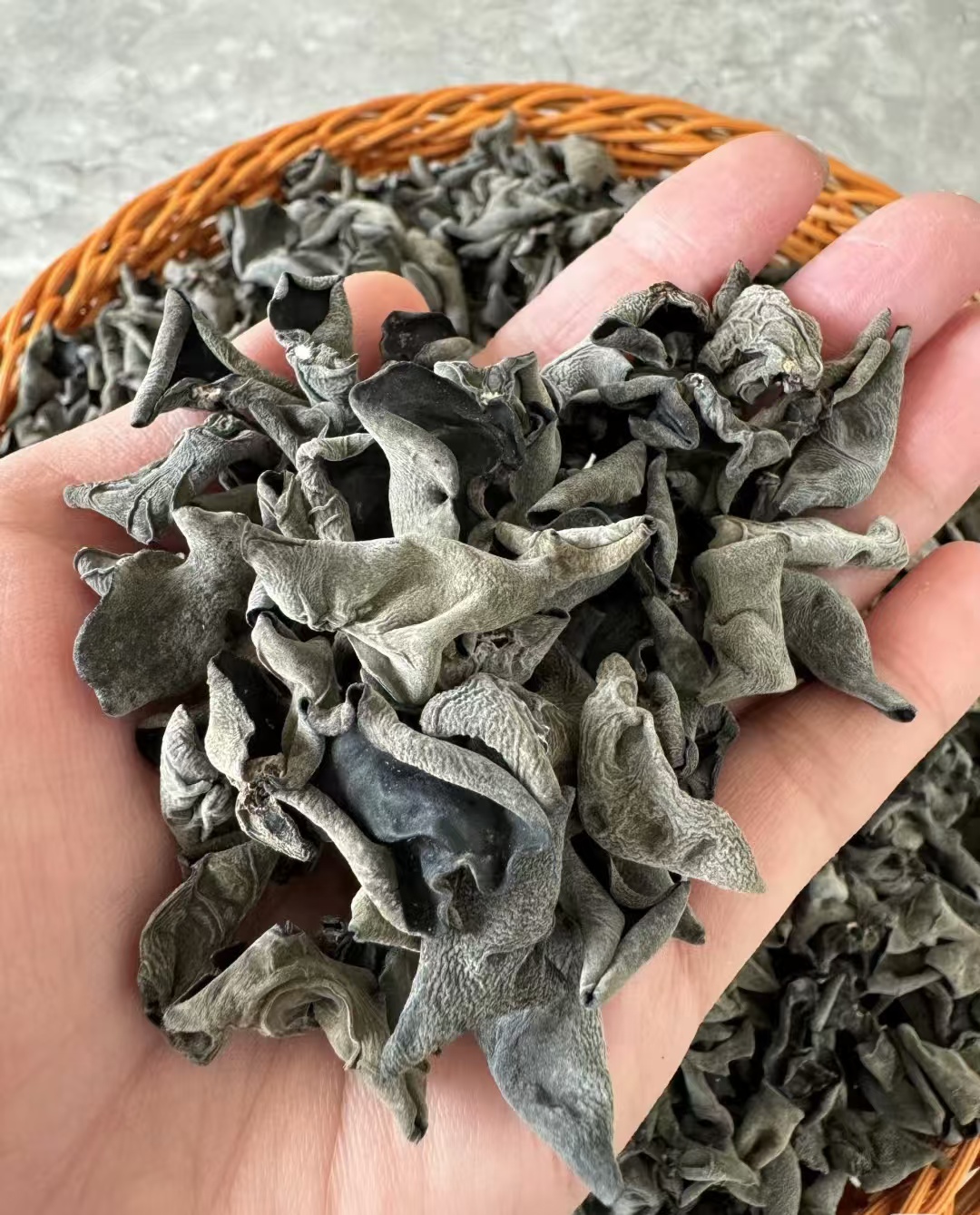 云南腾冲山货土特产现收【头茬木耳】