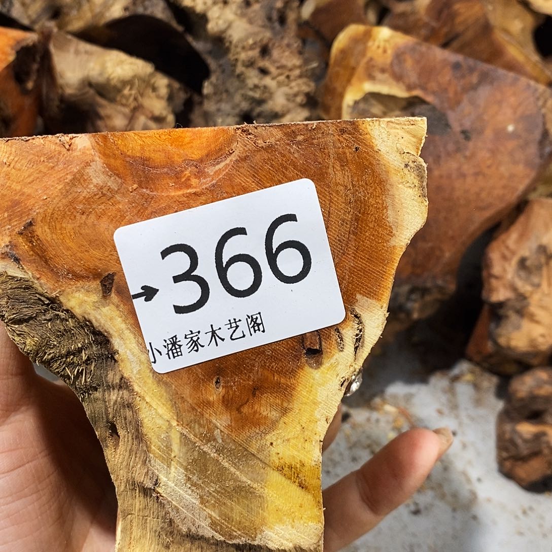 香榧木胖*星火琉璃……火琉璃