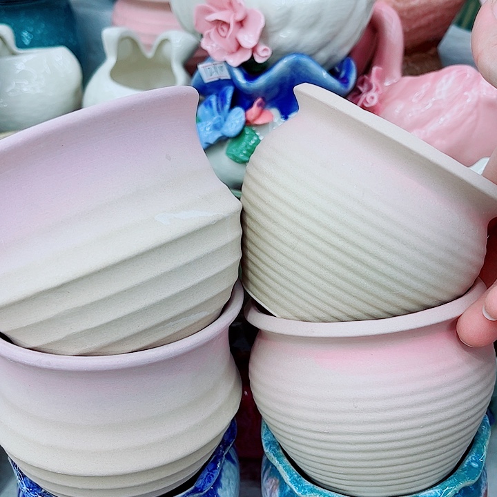 多肉植物陶瓷花盆