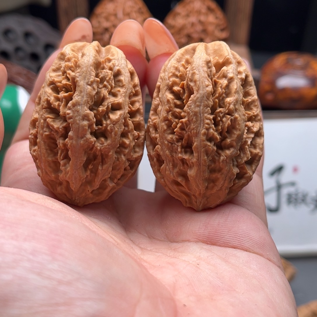 文玩核桃把件关东木子家楸大胖60