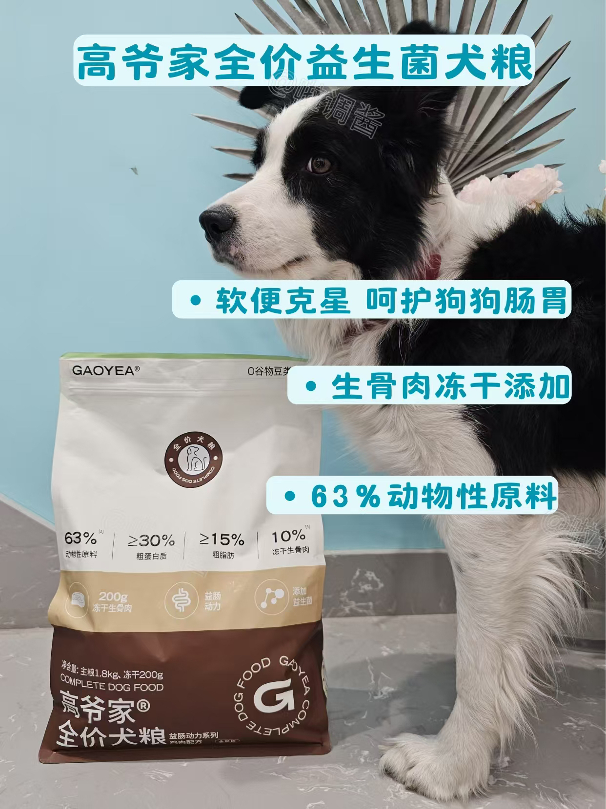 啦调酱 高爷家全价犬粮益肠动力鸡肉配方无谷低敏全犬狗粮