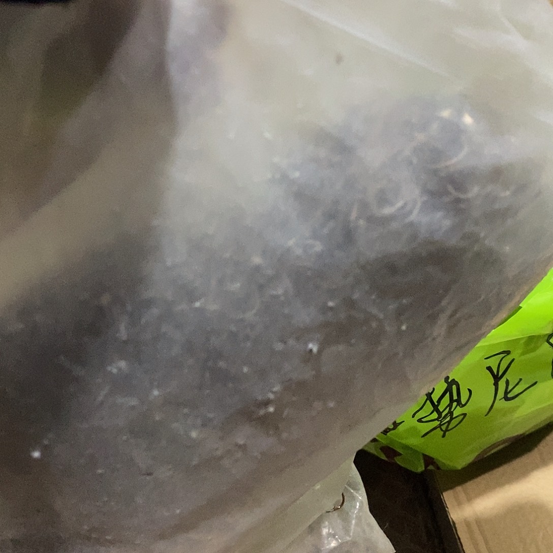 伊势尼有刺9号400枚一包。，