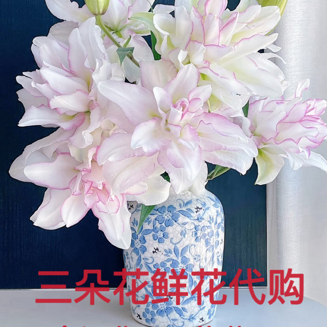 玫瑰向日葵玫瑰鲜花网上玫瑰草花预付款专属走播链接….. 云南花材