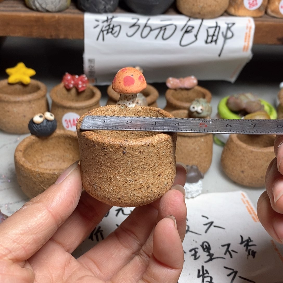 红陶拍5送一个小