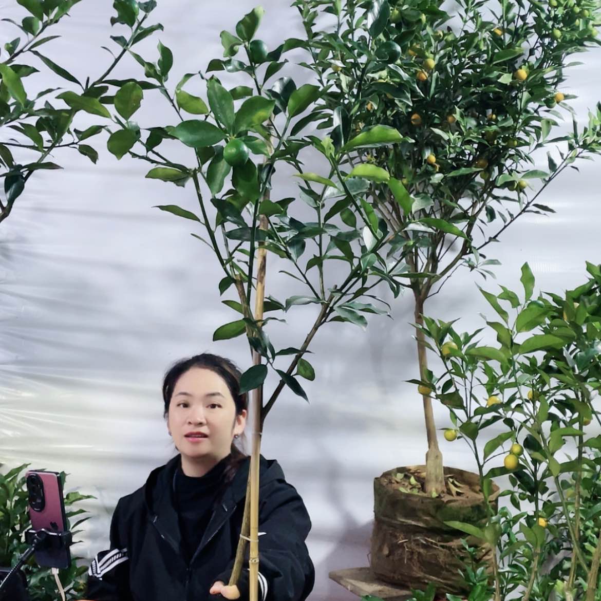 【闪购商品】完全开放家****?