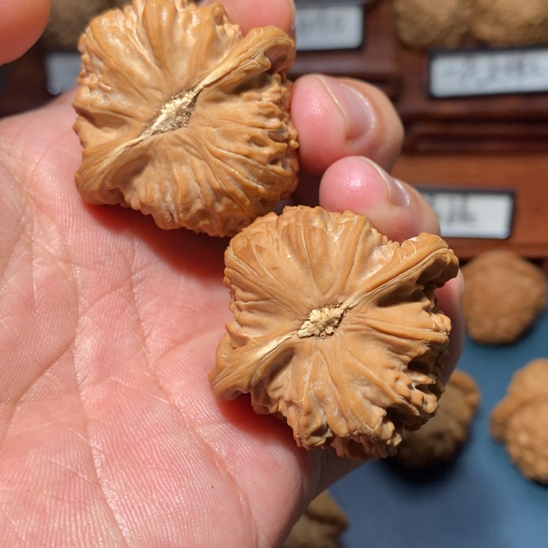 文玩核桃把件?****y核桃