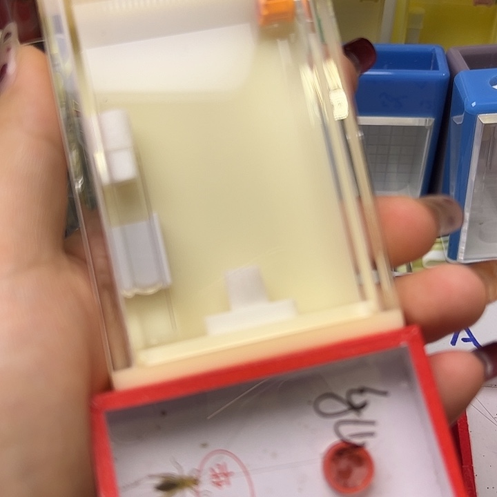 蟋蟀给哥哥哥哥哥哥发发发