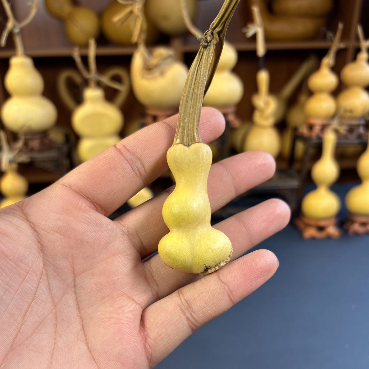 天然精品葫芦直播间闪购链接，私自下单概不发货