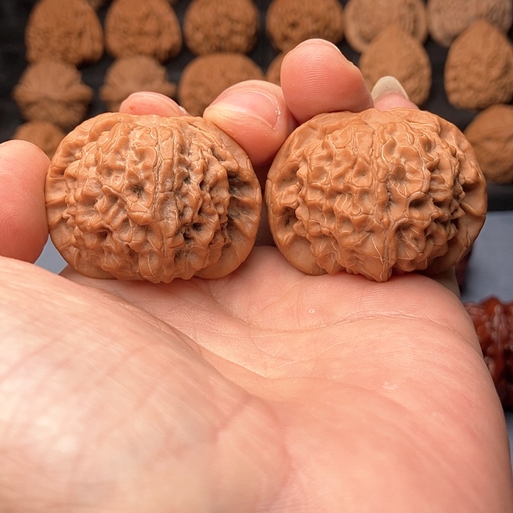 文玩核桃把件核王40