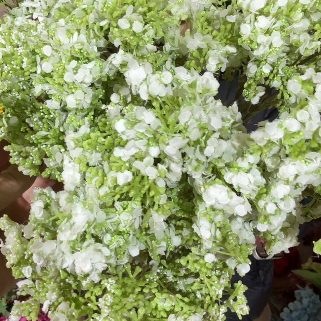 855号白色满天星10支