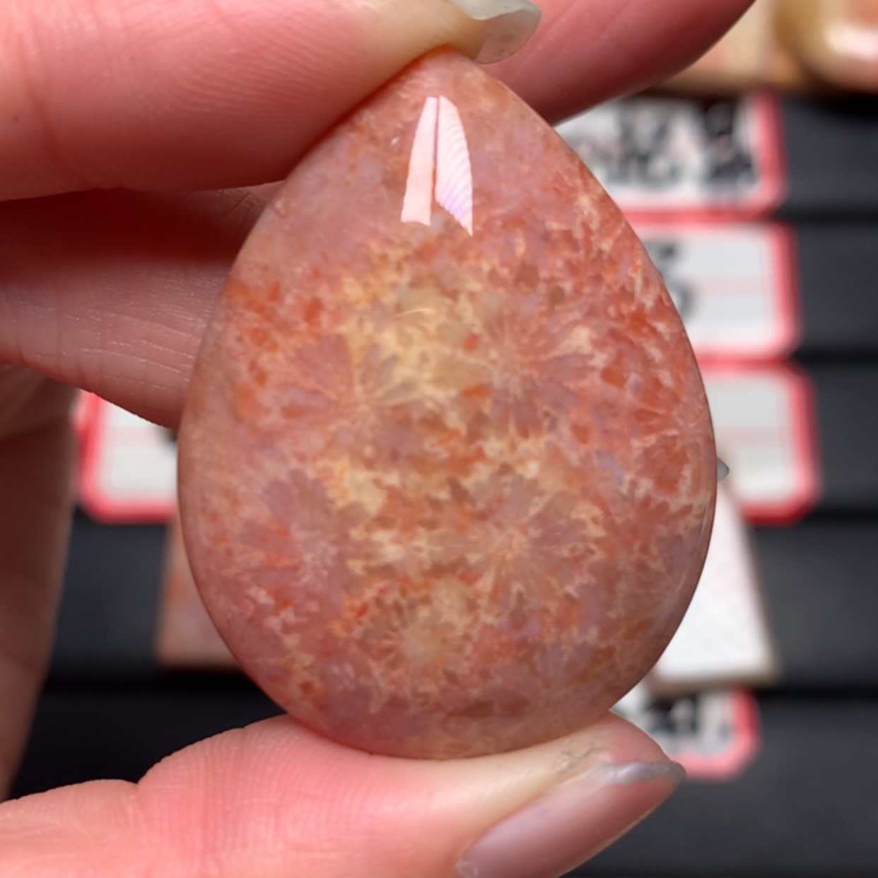 【闪购商品】硅化玉颈饰未镶嵌?*宝