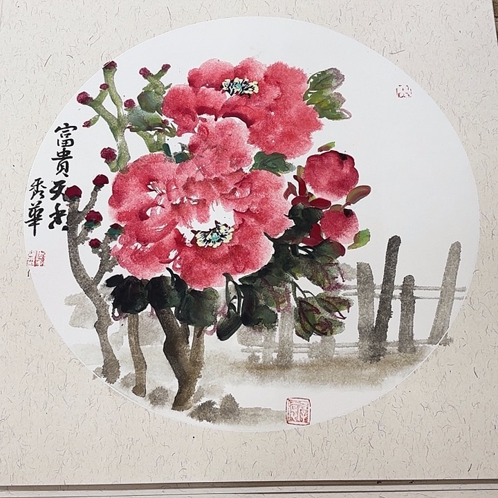 国画花鸟等多种鸟类的栖息地50.50