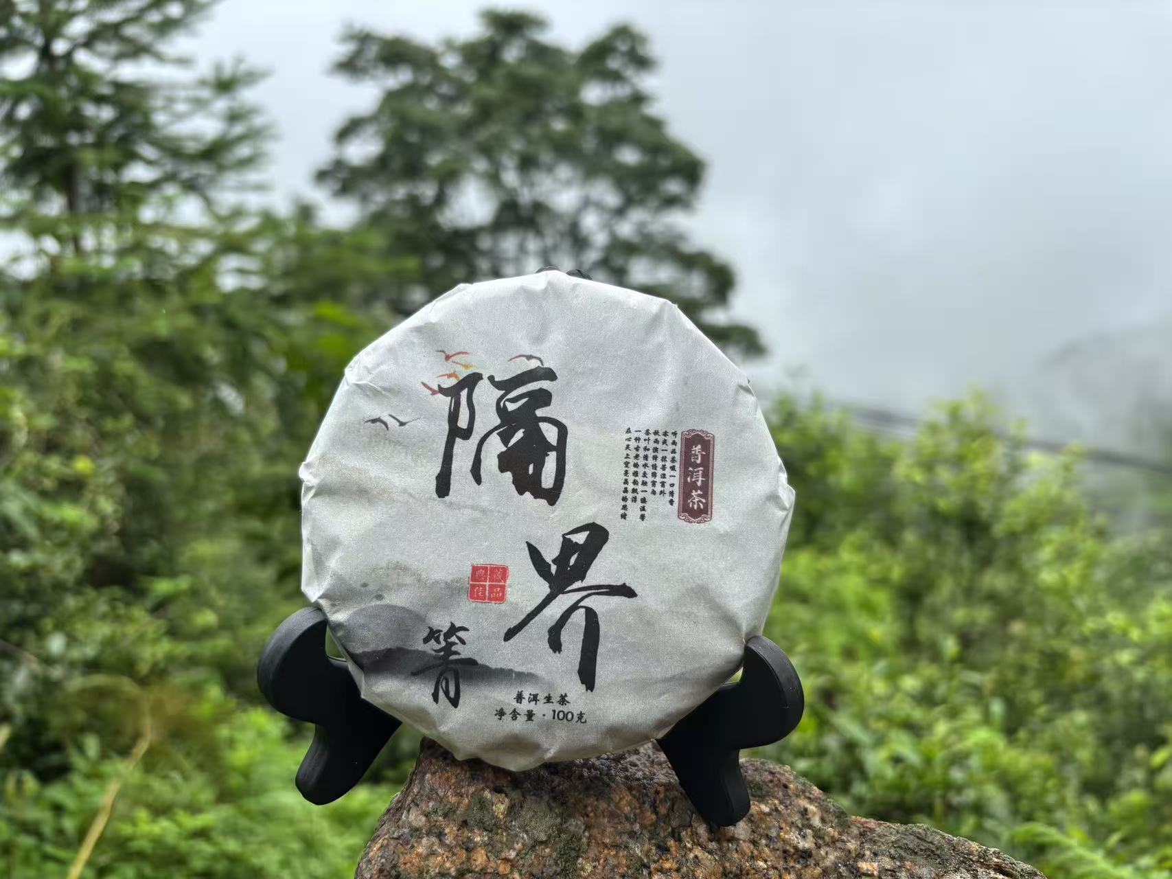【新茶上市】2025年头春头采隔界箐（散茶）