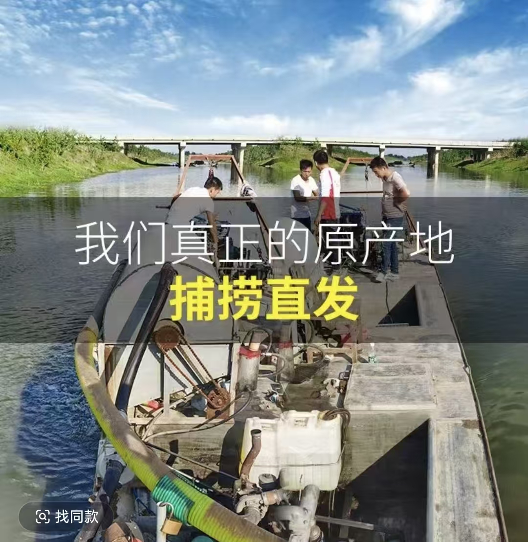 【净虫斤装】精品红虫活饵河道公虫野钓黑坑竞技钓鱼冬季必备饵料