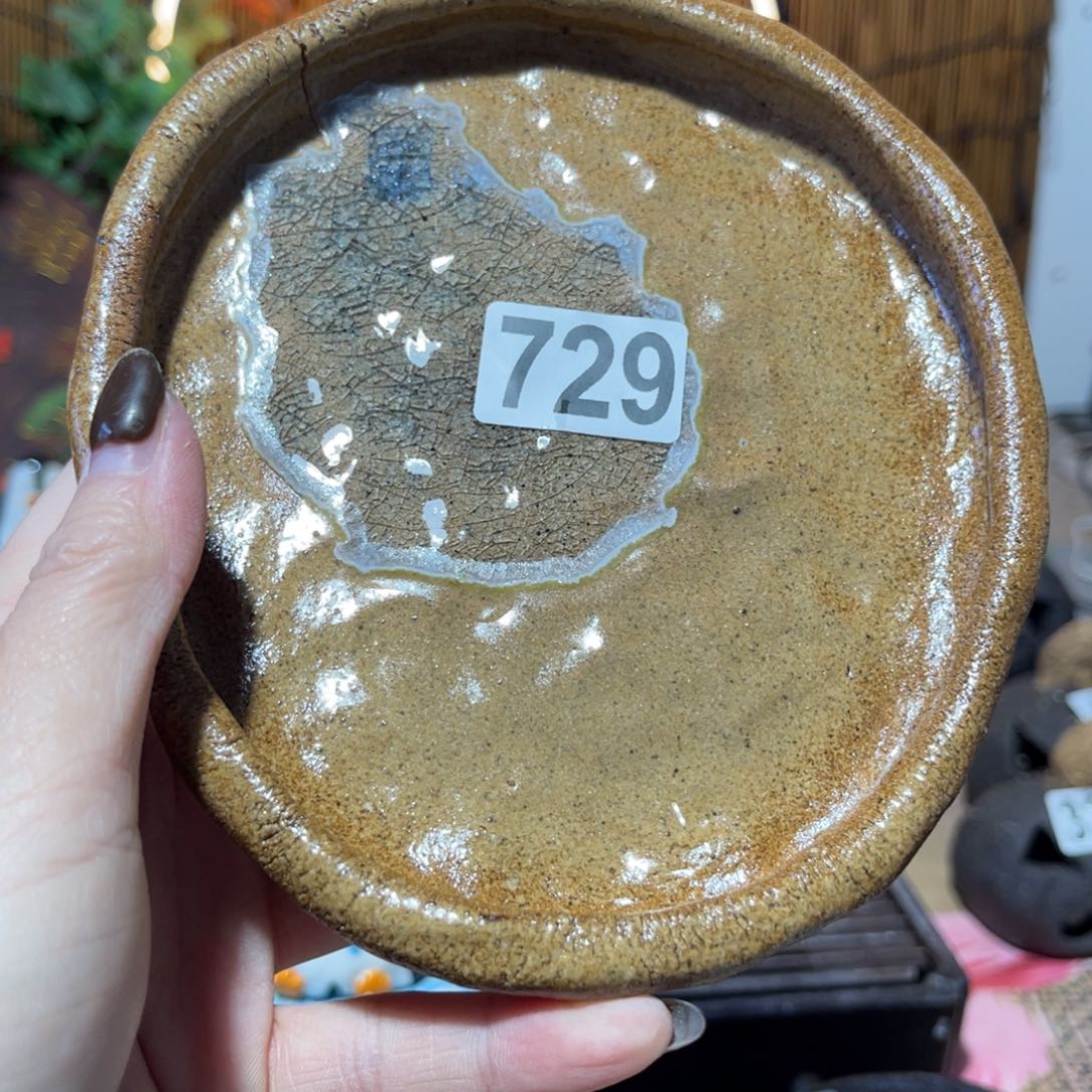 木村信弘柴烧保平