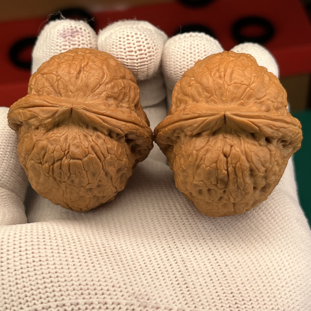 文玩铁核桃金龟玉甲43尺