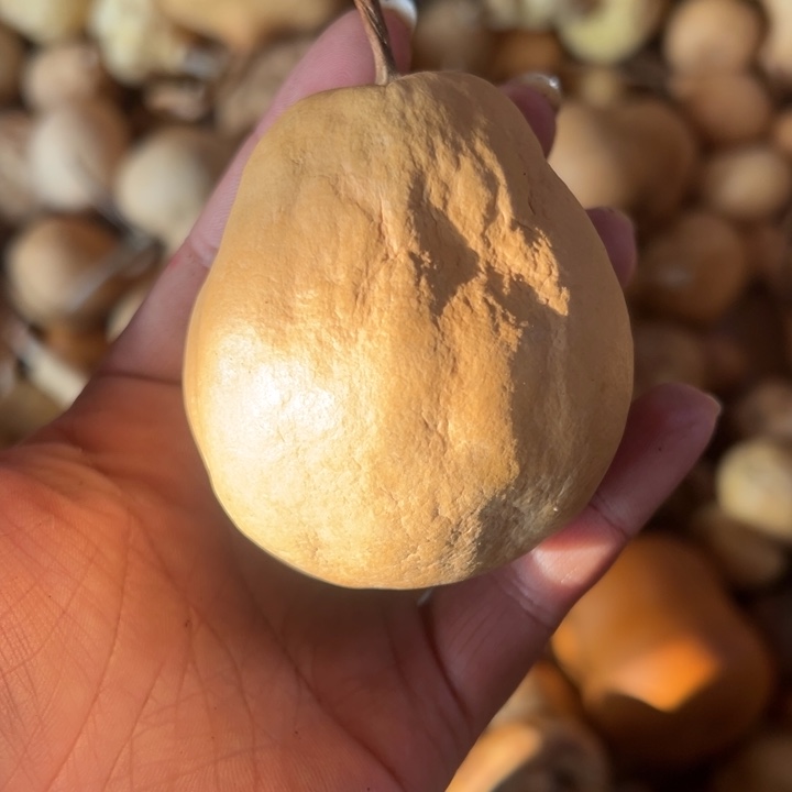 葫芦天然葫芦直播间