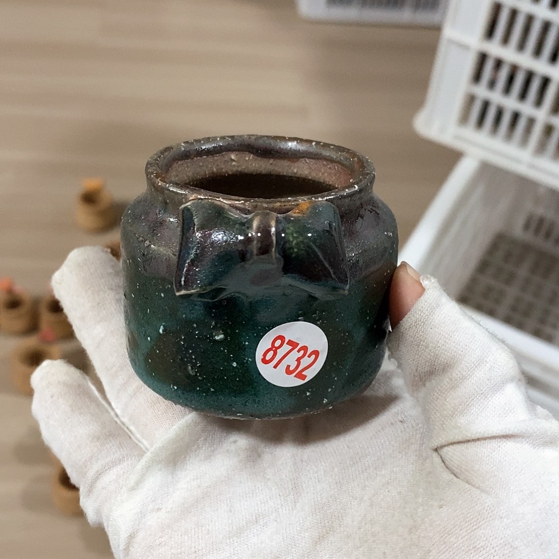 红陶拍5送一个小