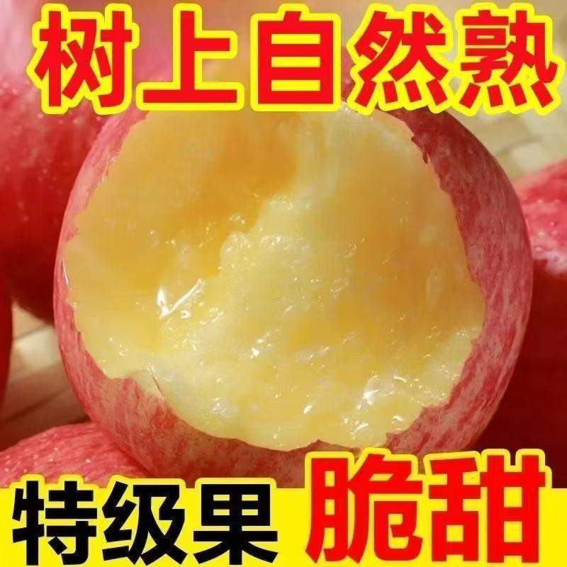 2025年正宗红富士正宗红富士脆甜多汁农场直销片红红富士老树果