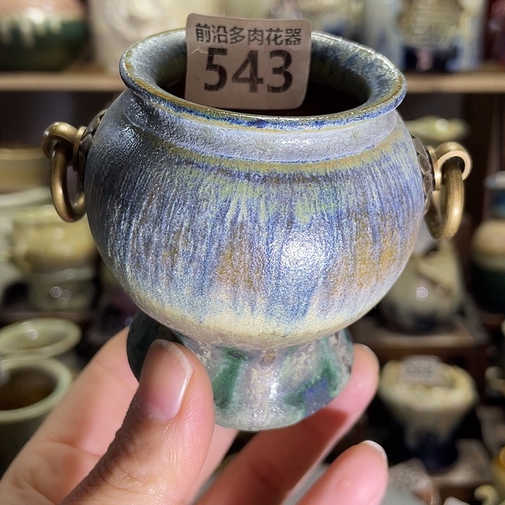 狼盆内口径5高度7