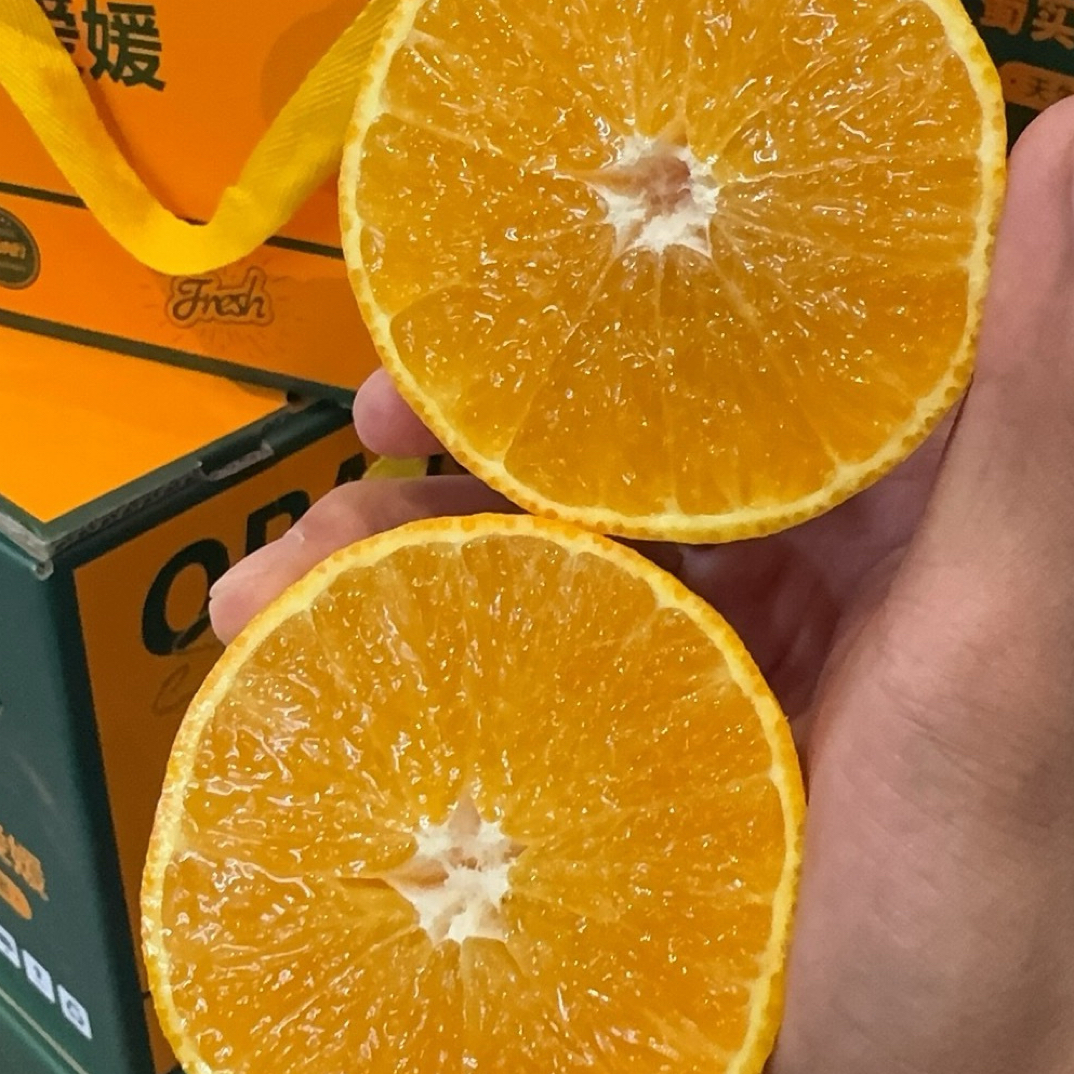 蜀实甜爱媛果冻橙宁夏回族自治区