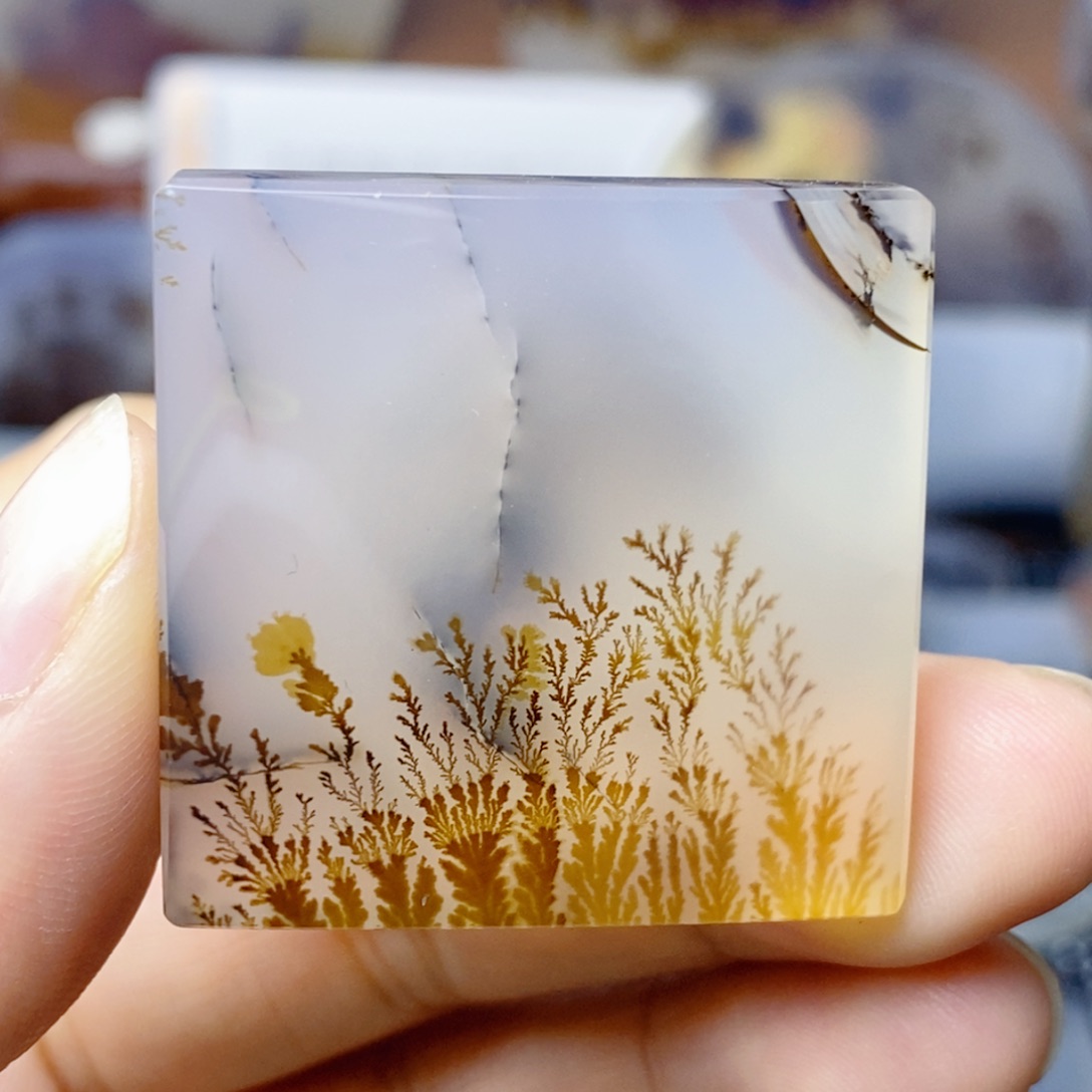 伊***5玛瑙/玉髓未镶嵌珠宝奇石