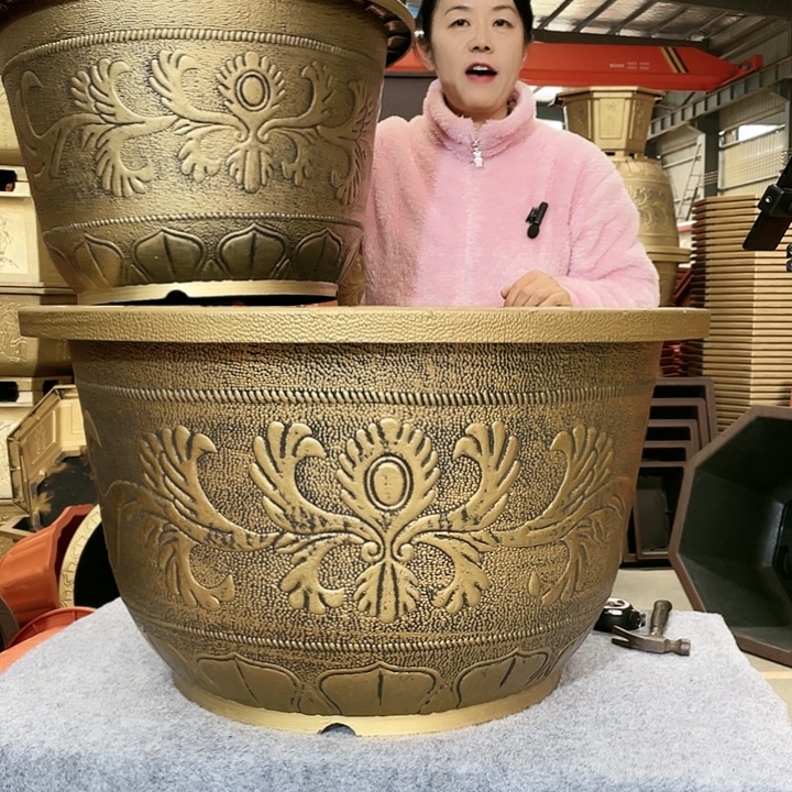 圆盆古铜六零一个