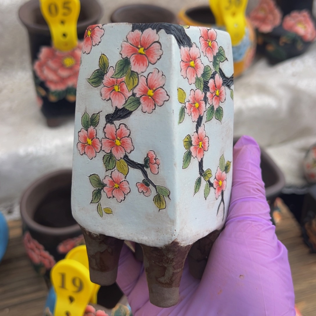 桃花默认有瑕 新年快乐