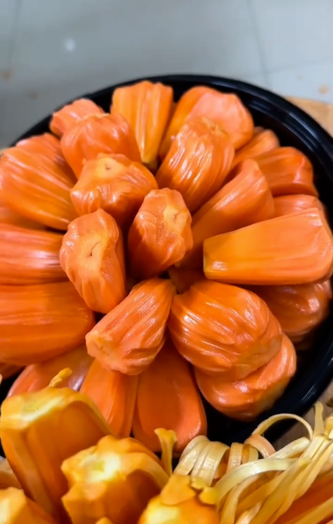 印尼红菠萝蜜 绿植盆栽 一物一拍