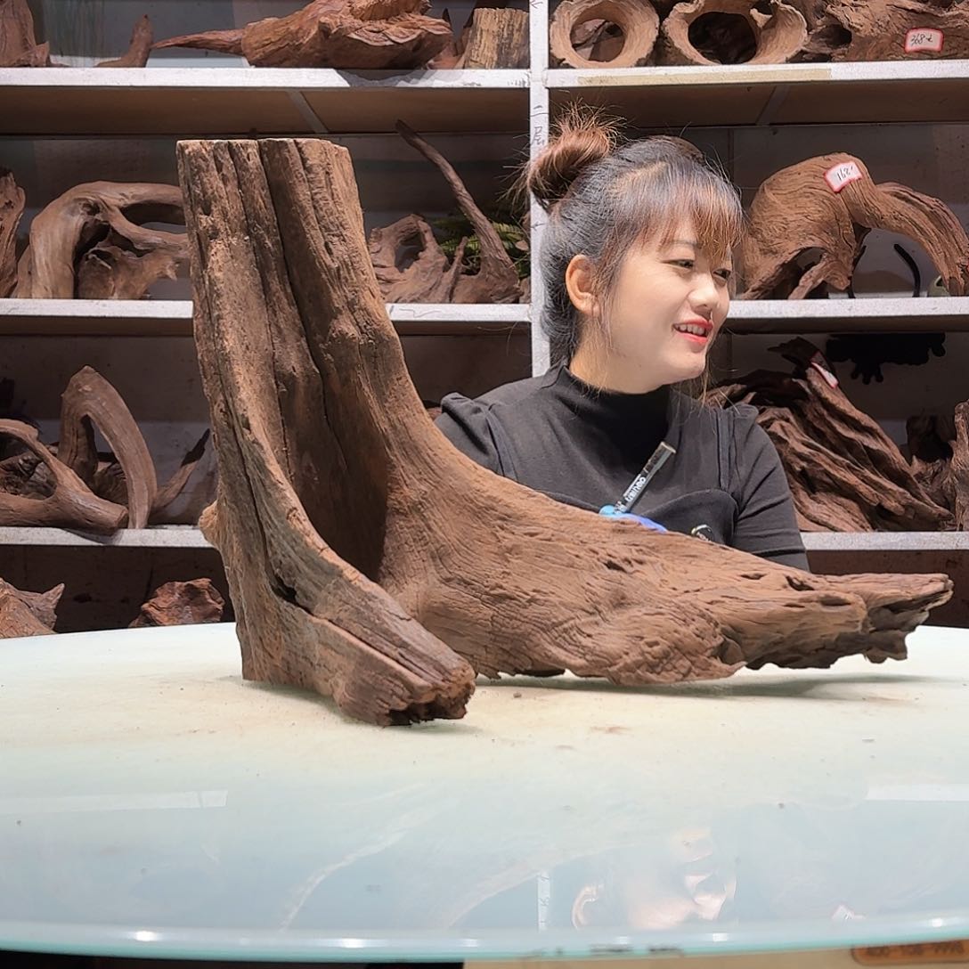 倍诸沉木不包损，必黄水0368