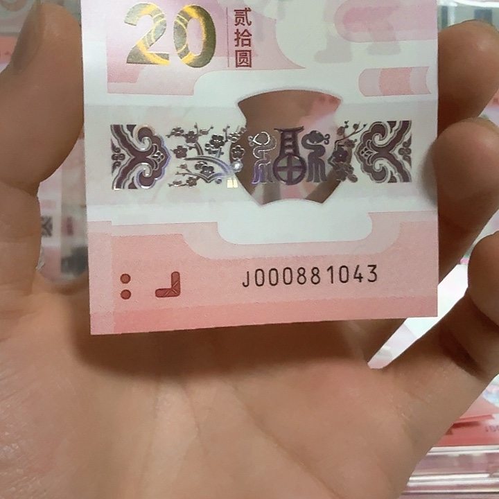 塑料小蛇钞号码000881043