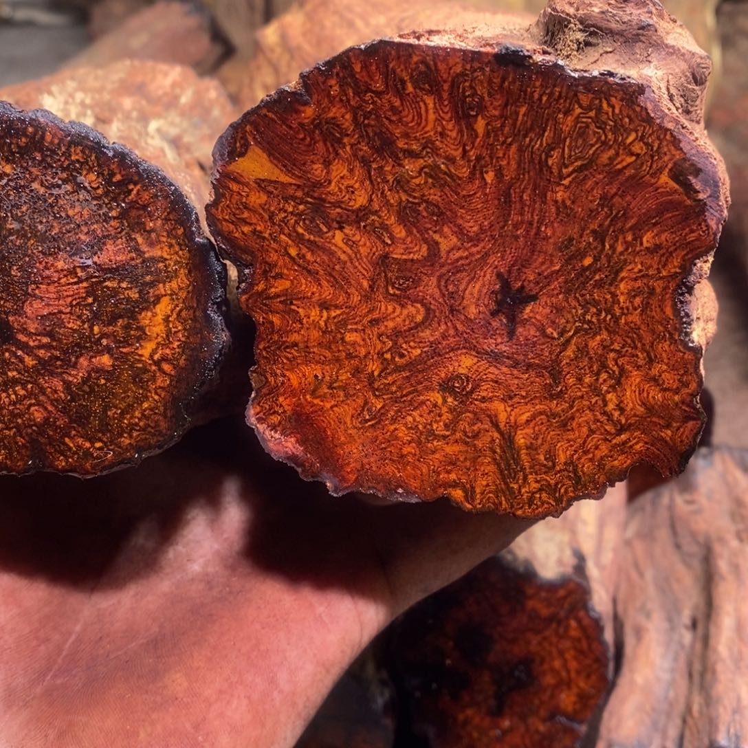 老***周有机玻璃在线函数等多种