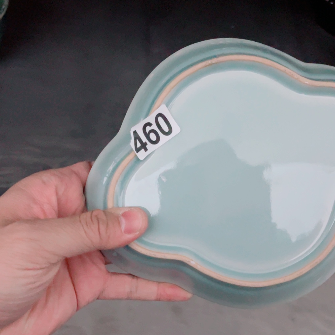 哈哈哈哈哈哈哈哈哈哈碗